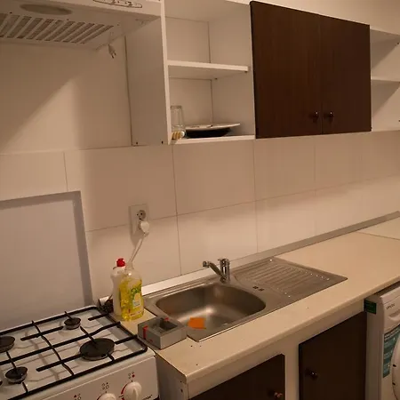 Apartament Mircea דירה